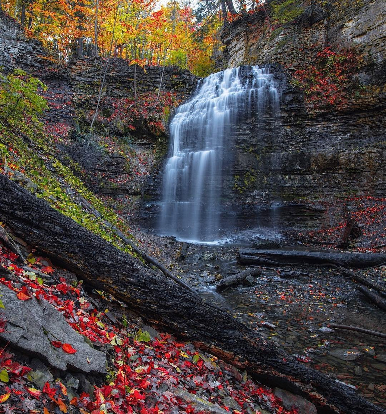 View of the Tiffany Falls from the ground. The waterfalls are surrounded by a forest with red and yellow leaves.